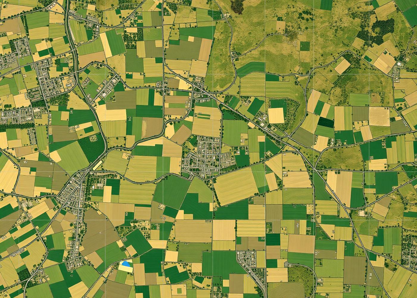 Orthofoto van agrarisch landschap met georeferentie